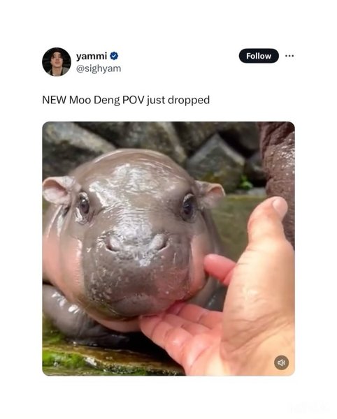 Thumbnail of dae-spvjwan-e586655a72254652 1