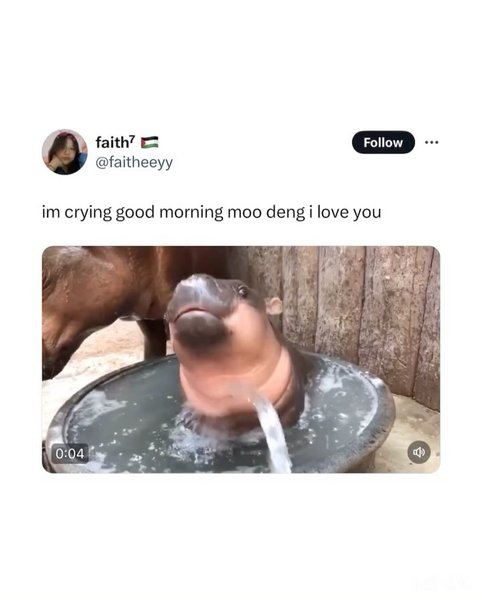 Thumbnail of dae-spvjwan-e586655a72254652 2