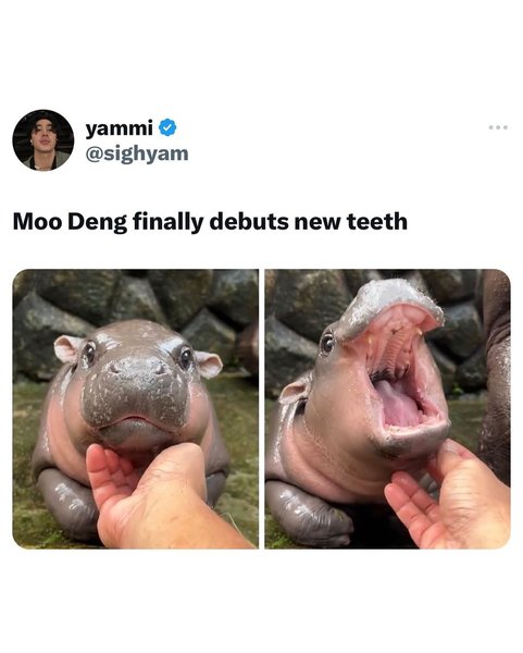 Thumbnail of dae-spvjwan-e586655a72254652 3