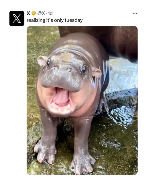 Thumbnail of dae-spvjwan-e586655a72254652 4