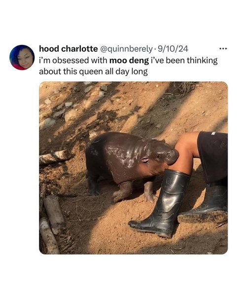 Thumbnail of dae-spvjwan-e586655a72254652 5