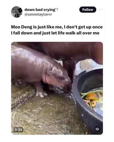 Thumbnail of dae-spvjwan-e586655a72254652 6