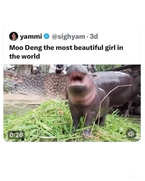 Thumbnail of dae-spvjwan-e586655a72254652 8