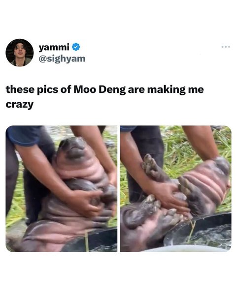 Thumbnail of dae-spvjwan-e586655a72254652 9