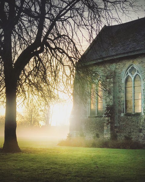 Thumbnail of p-butouwmdtoi-e590e88067b14480 0