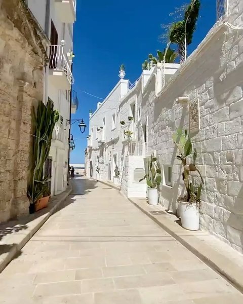 Thumbnail of p-cbz6uzzil1q-e592f435ef1b4726 2