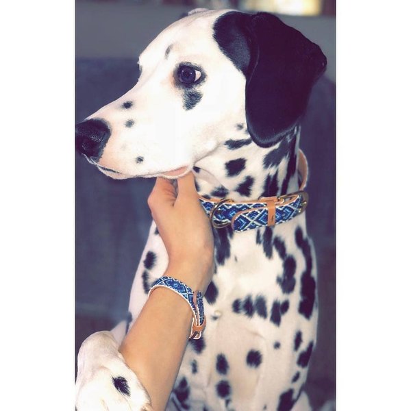 Thumbnail of p-bfqb6ccdkhx-e5c151388e784e87 0