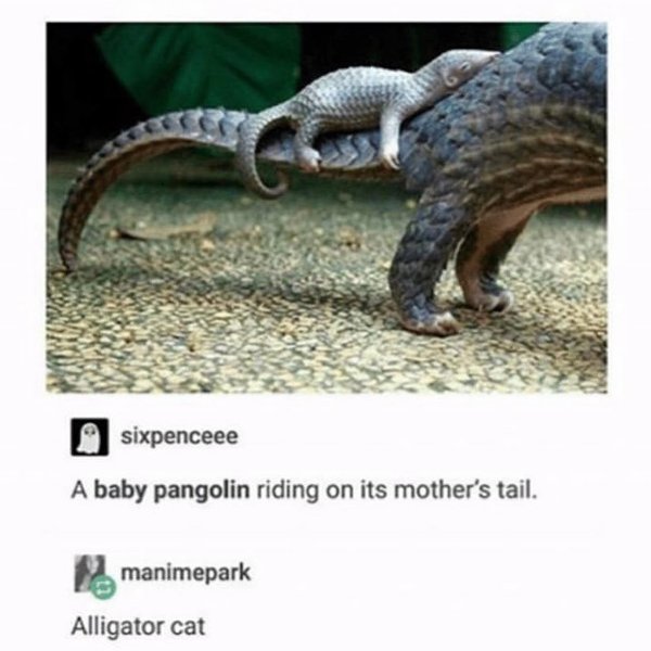 Thumbnail of q-qvan5dz-e6023fd1253045ac 0