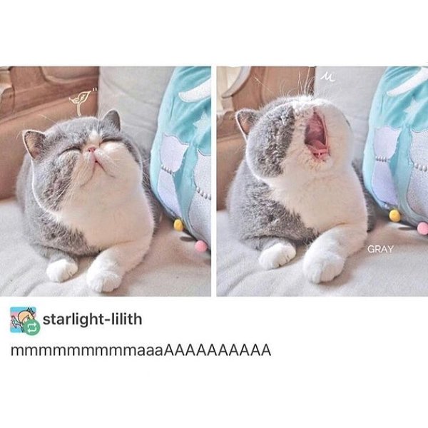 Thumbnail of p-bdaqveiamas-e6173510f034413c 0