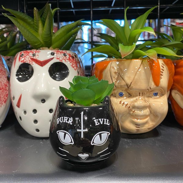 Thumbnail of p-cfvrfh0fily-e6574d500a6141c5 0