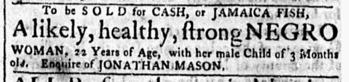 Thumbnail of www-x-com-slaveadverts250-status-1621237019992014849-e65cd66ad3cc4e65