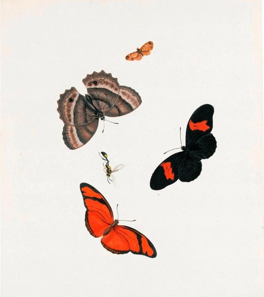 Thumbnail of p-bgsbwyehgbi-e676f7e1cc9347ec 0