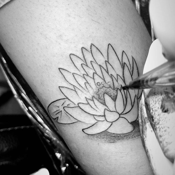 Thumbnail of p-cufigrrvfho-e695bdb6242c42b5 1