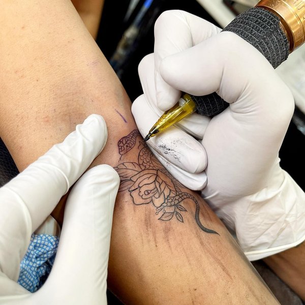 Thumbnail of p-cufigrrvfho-e695bdb6242c42b5 2