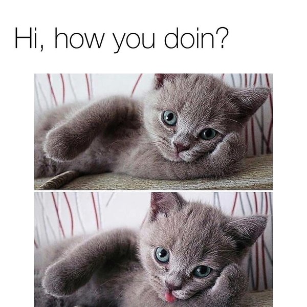 Thumbnail of p-bocdekfn6xm-e6a70f5dda734e0f 0