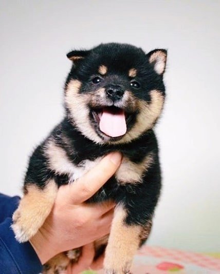 Thumbnail of p-bwpocdwbhbm-e6a7882c7eae4a0c 2