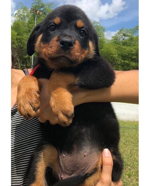 Thumbnail of p-bwpocdwbhbm-e6a7882c7eae4a0c 4