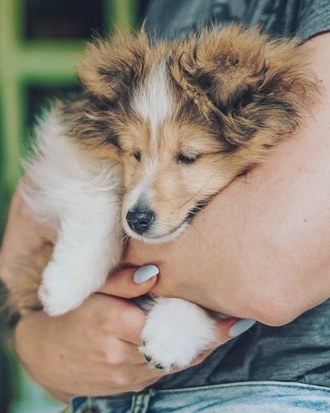 Thumbnail of p-bwpocdwbhbm-e6a7882c7eae4a0c 5