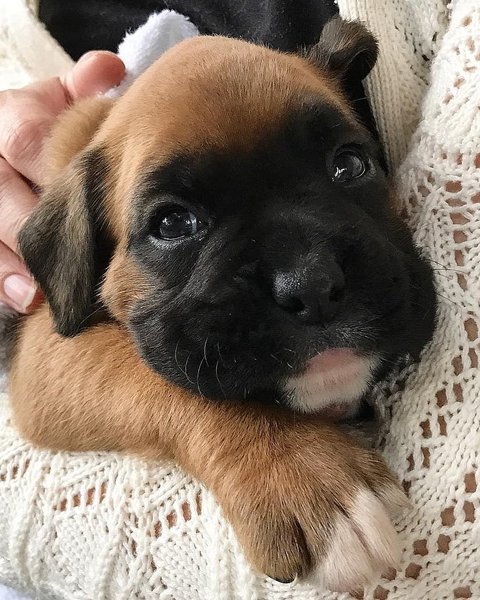 Thumbnail of p-bwpocdwbhbm-e6a7882c7eae4a0c 6