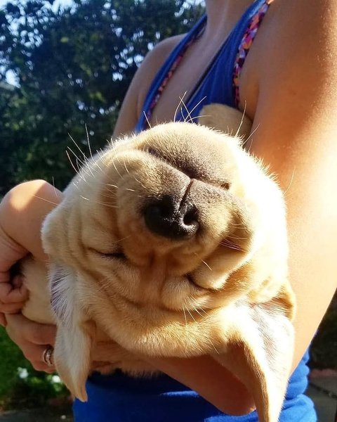 Thumbnail of p-bwpocdwbhbm-e6a7882c7eae4a0c 7