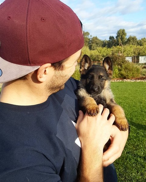 Thumbnail of p-bwpocdwbhbm-e6a7882c7eae4a0c 8