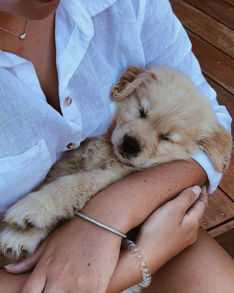 Thumbnail of p-bwpocdwbhbm-e6a7882c7eae4a0c 9