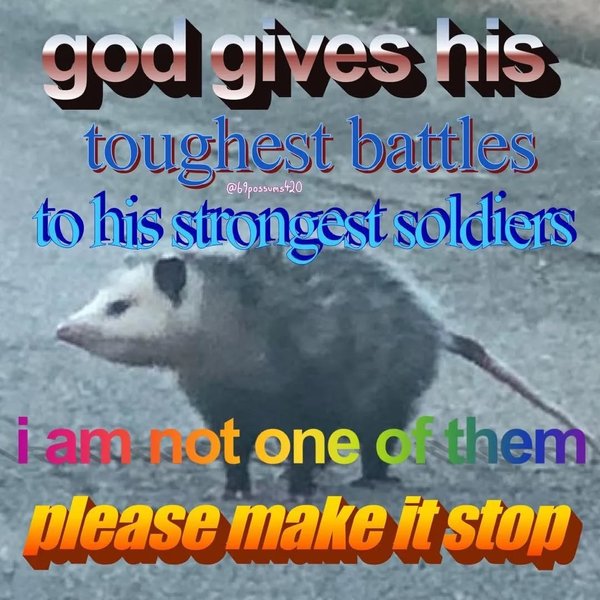 Thumbnail of p-cb0jum3hfth-e6aa06928a0d49a3 0