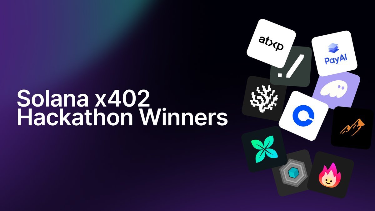 Thumbnail of www-x-com-solana-devs-status-1993343964561522951