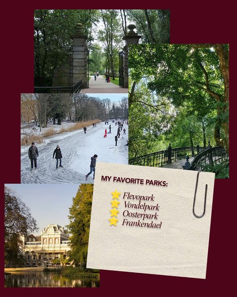 Thumbnail of dnnwmv9mw-r-e6e82df99b28406d 4