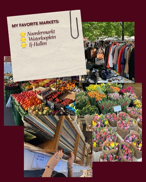 Thumbnail of dnnwmv9mw-r-e6e82df99b28406d 5