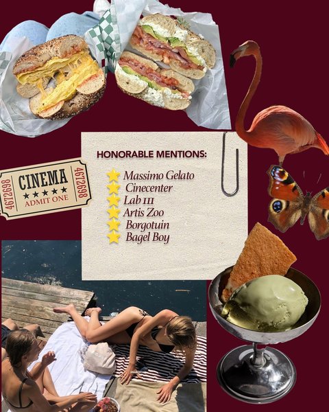 Thumbnail of dnnwmv9mw-r-e6e82df99b28406d 8