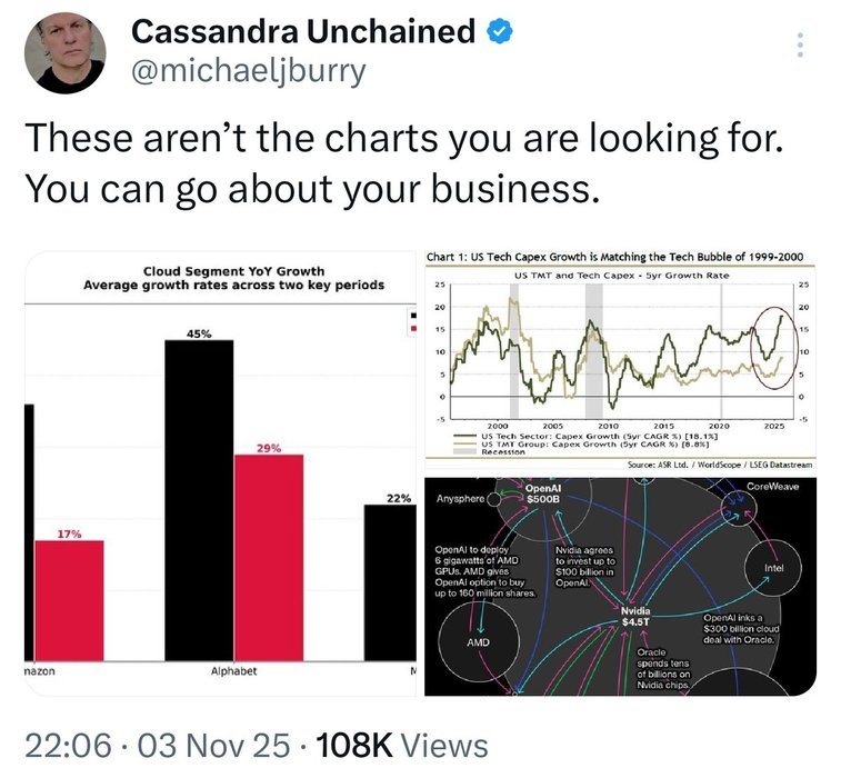 Thumbnail of www-x-com-michaeljburry-status-1985463163865739741-e6f5c522f1a546ac