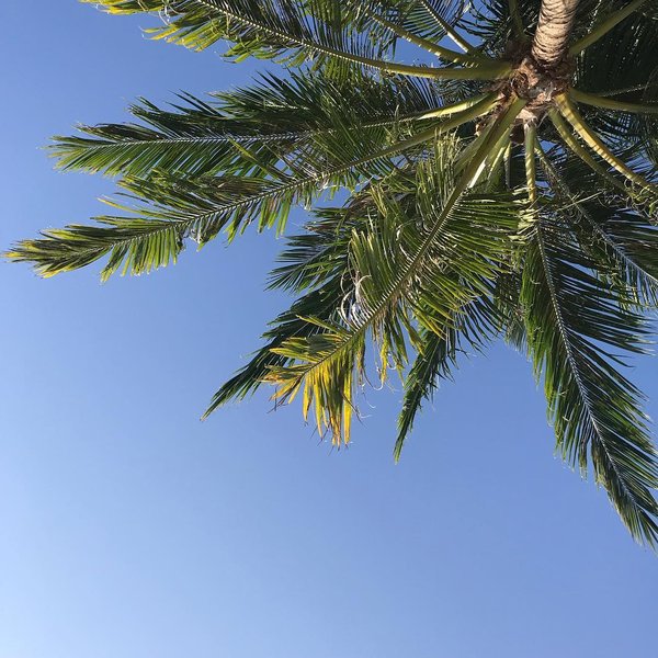 Thumbnail of p-bchzv1yboua-e6f9301c70a740ff 0