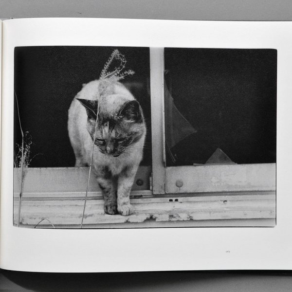 Thumbnail of ca7pi-gbrxl-e70fd91780ee4483 4