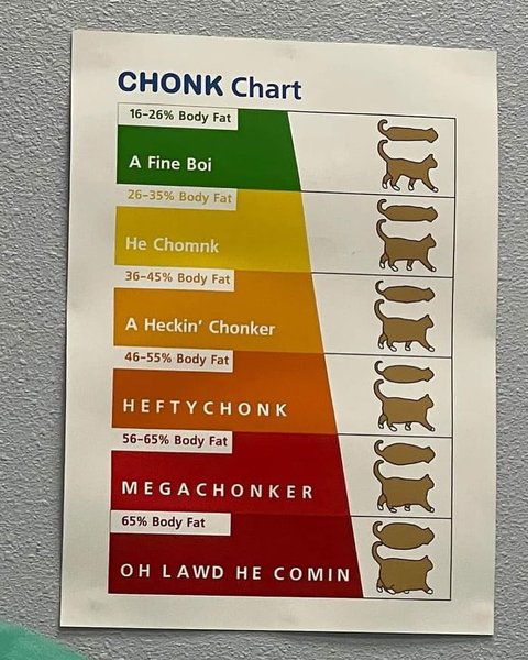 Thumbnail of p-cw6lazqpkqx-e71bbd29ddcc42bb 0