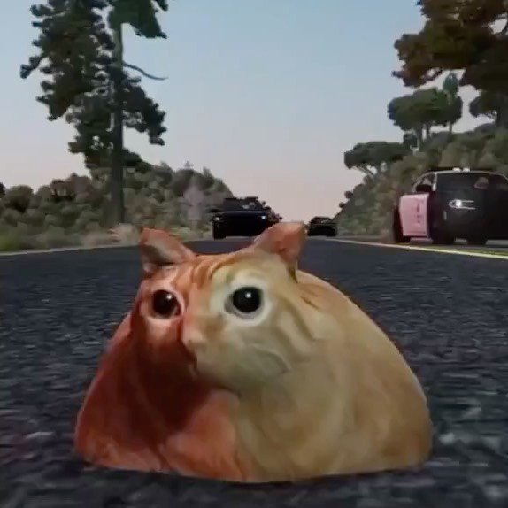 Thumbnail of p-ctrrenethog-e72e0665d48f43c8 7