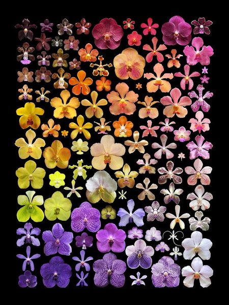 Thumbnail of www-instagram-com-p-dsmhh22dmqo 0