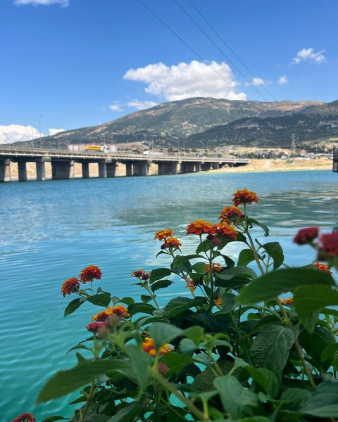 Thumbnail of p-cts98ugtvzp-e7611cdf550e4bb9 0