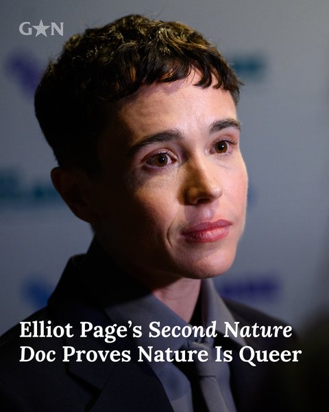 Thumbnail of p-dp5yjtzjmkz-e7be001fd0a0453e 0