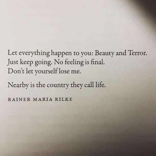 Thumbnail of p-ck9ar4lp7ra-e7cc72ba52cd4c0d 0