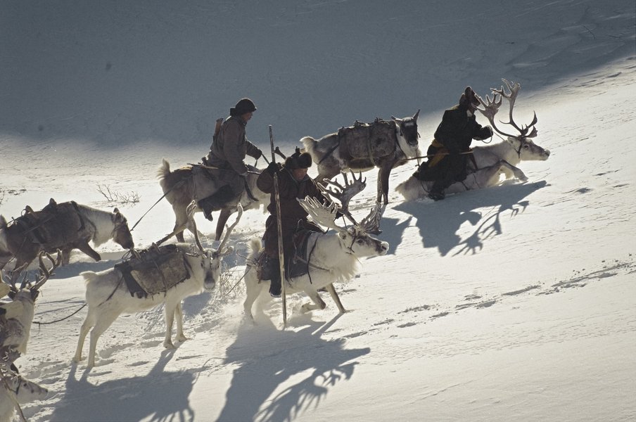 Thumbnail of p-dpgmxqbimyw-e7d39b3d2af64448 0