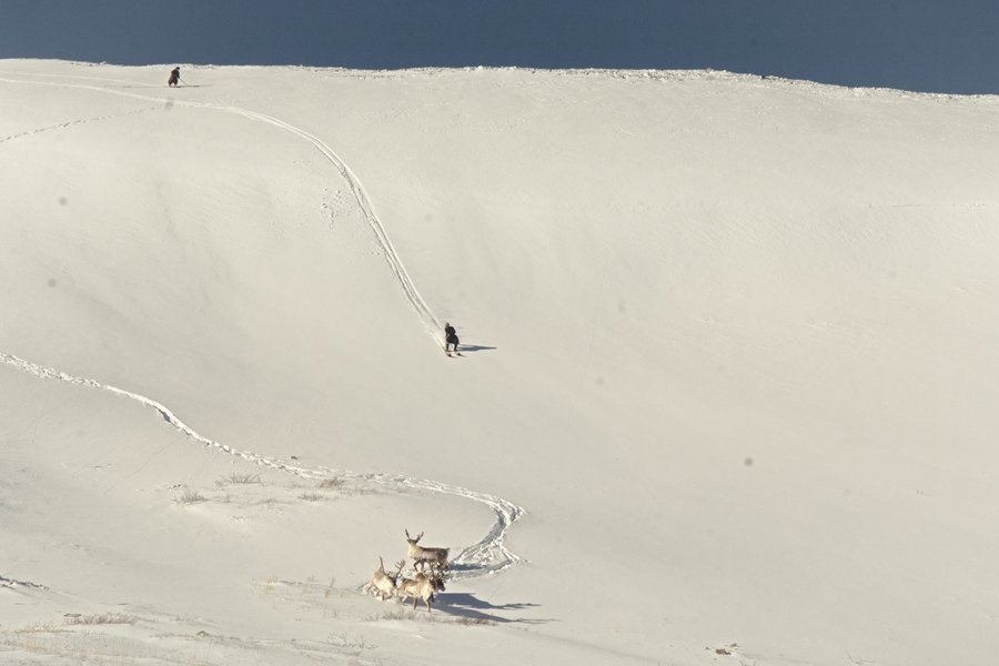 Thumbnail of p-dpgmxqbimyw-e7d39b3d2af64448 1