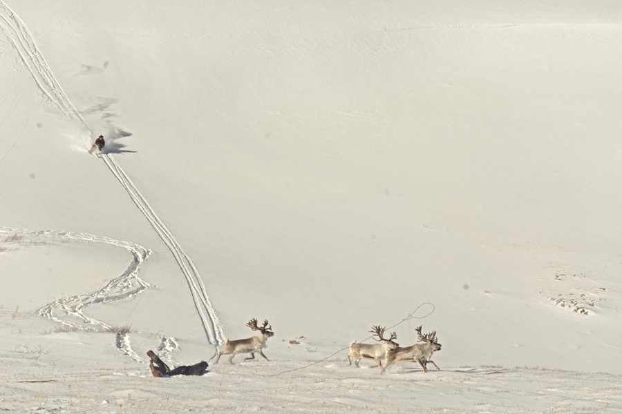 Thumbnail of p-dpgmxqbimyw-e7d39b3d2af64448 2