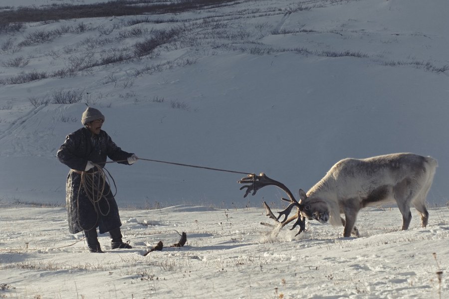 Thumbnail of p-dpgmxqbimyw-e7d39b3d2af64448 3