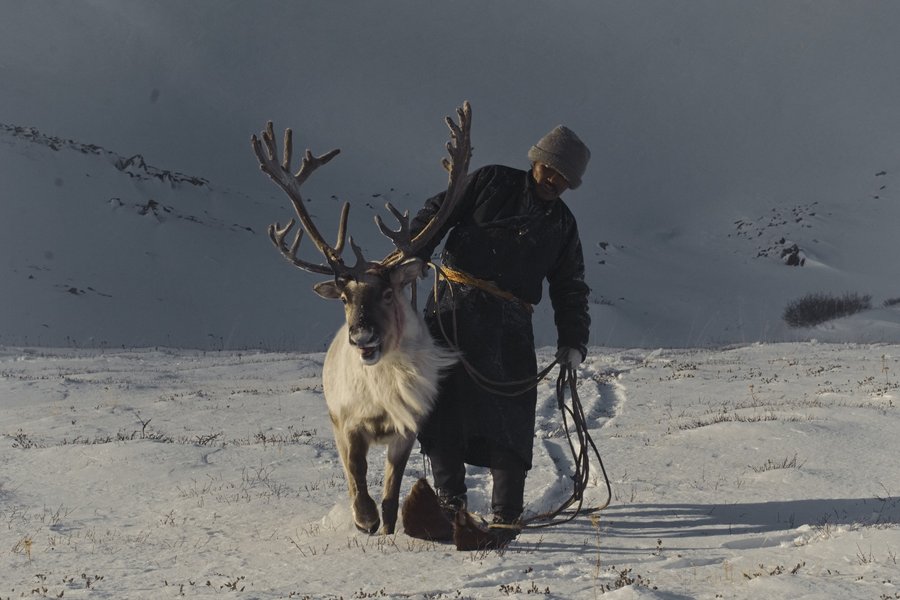 Thumbnail of p-dpgmxqbimyw-e7d39b3d2af64448 4