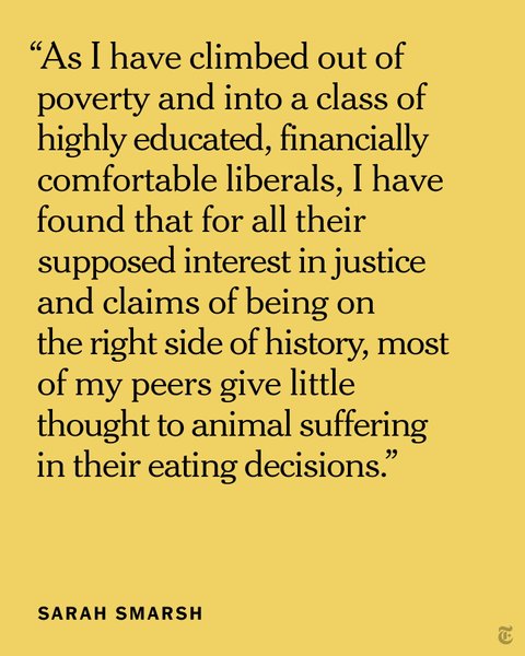 Thumbnail of p-cmqz9vaomqe-e7fdf70afebe4b31 0