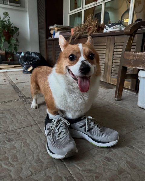 Thumbnail of www-instagram-com-p-ds67k8ukwh3-img-index-2 11