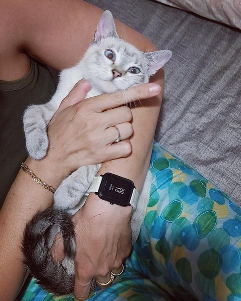 Thumbnail of p-cueeajfi98d-e8110f4c18344e80 4