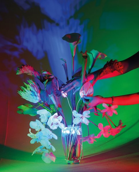 Thumbnail of p-celxxflp6mc-e8181ff09d8d46f2 0