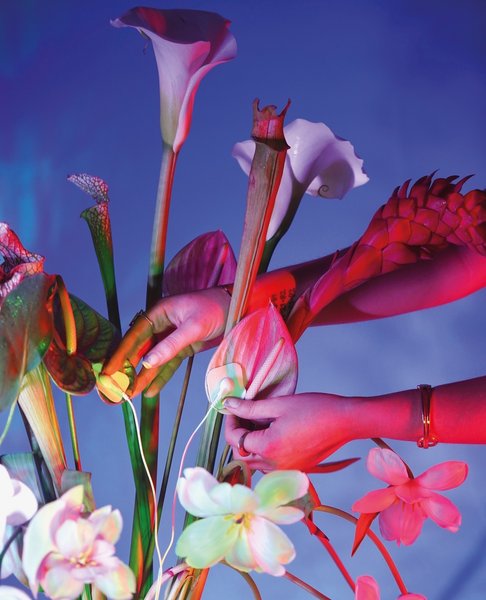 Thumbnail of p-celxxflp6mc-e8181ff09d8d46f2 2